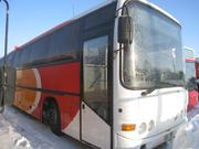 автобусы городские и туристы